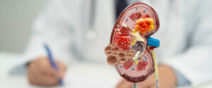 Urologe bei der Hormondiagnostik zur Abklärung eines Micropenise