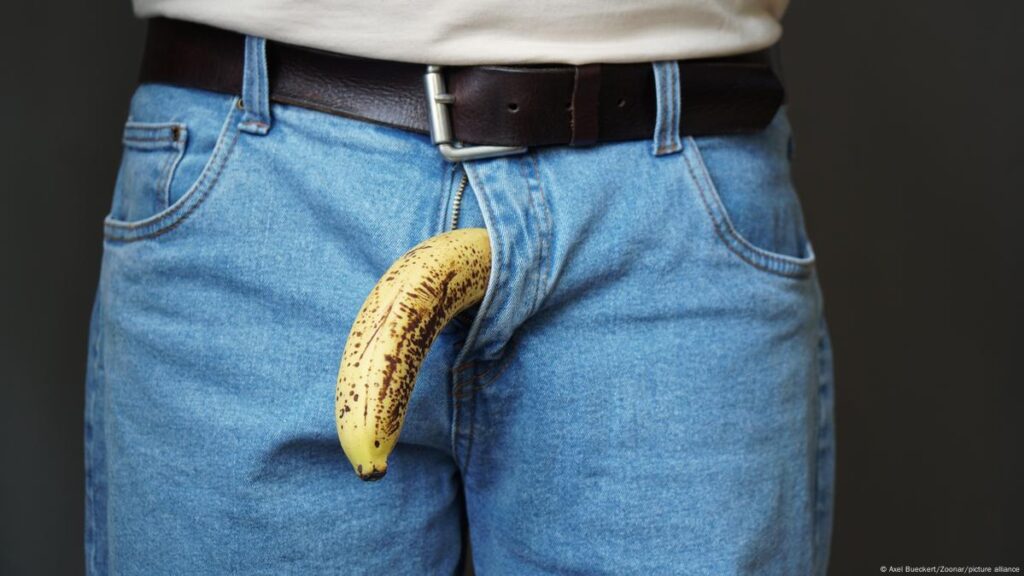 Steifer Penis