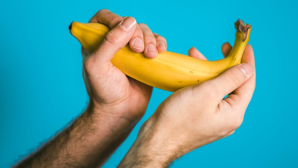 durchschnittliche penis länge