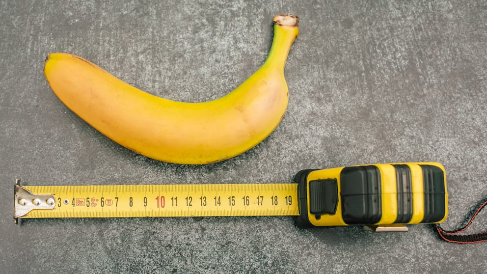 Perfekte Penis Größe