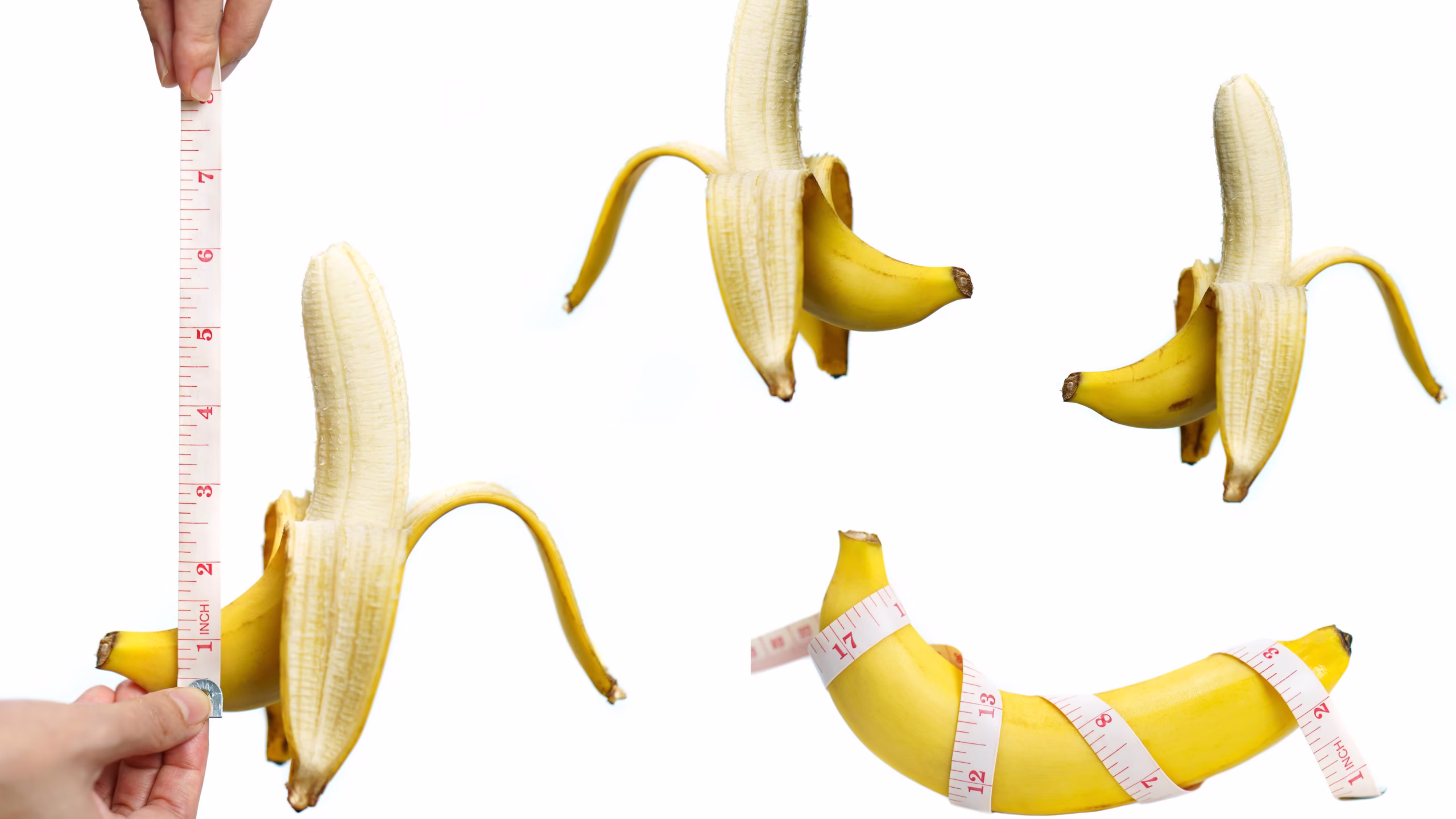 penis growth