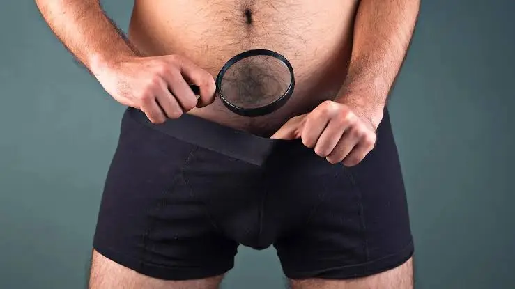 Größter Penis der Welt