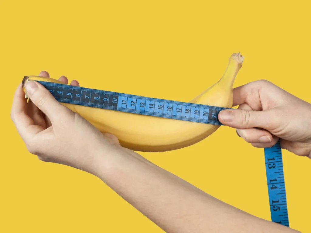 Durchschnitt Penis Größe