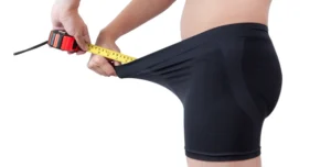 Anatomische Darstellung eines großen harten Penis mit Schwellkörpern