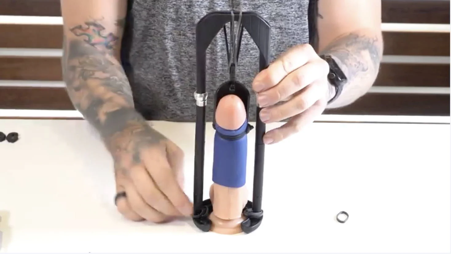 Anatomie des Penis mit Schwellkörpern und Gewebestrukturen