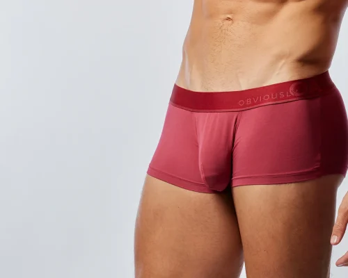 Steifer Penis