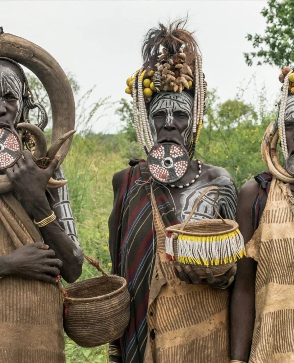 wie funktioniert eine penisverlängerung