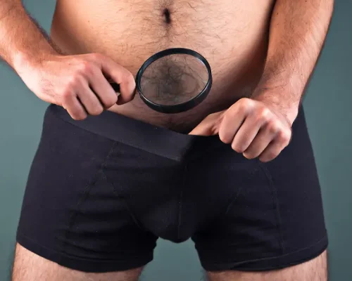 großer penis bilder