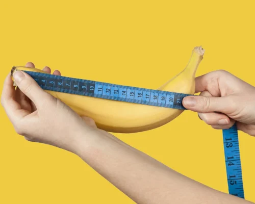 Durchschnitt Penis Größe